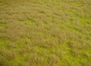 Tapis d'herbes sauvages de savane 45 x 17 cm