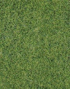 HEK1870 - Tapis d'herbes sauvages vert de prairie 40 x 24 cm