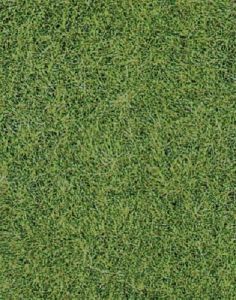 HEK1870 - Tapis d'herbes sauvages vert de prairie 40 x 24 cm