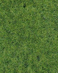 HEK1871 - Tapis d'herbes sauvage terrain boisé 40 x 24 cm