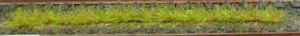 Lot de 10 bandes d'herbes de printemps 10 cm
