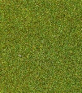 Tapis vert clair 100 x 75 cm
