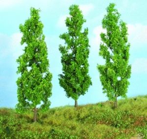 3 peupliers 18 cm