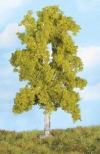 Bouleau 18 cm
