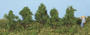 HEK19130 - 5 arbres feuillus 4 cm
