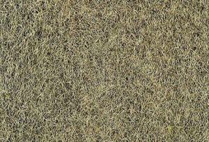 HEK3363 - Sachet 100 g de Flocage d'herbes d'hiver 2-3 mm