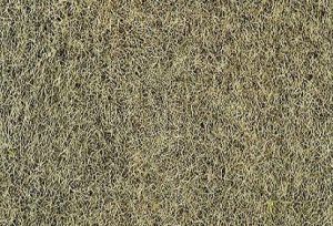 HEK3363 - Sachet 100 g de Flocage d'herbes d'hiver 2-3 mm