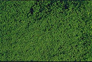 HEK1602 - Mousse de flocage vert foncé 14x28 cm
