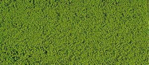 Mousse de flocage vert clair 14x28 cm
