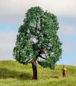 NOC20111 - Chêne 10 cm