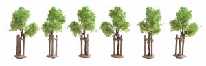 Jeunes arbres avec supports