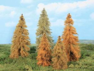 HEK2179 - 5 Mélèzes d'automne 14-18 cm