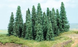 HEK2236 - 20 Sapins argentés 5-9 cm