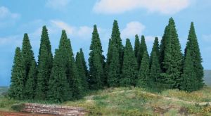 HEK2241 - 35 Sapins 5-12 cm