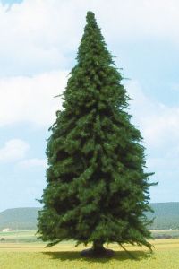 HEK2340 - Sapin 20 cm
