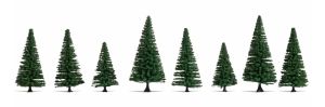 NOC25640 - 8 Sapins 8-12 cm