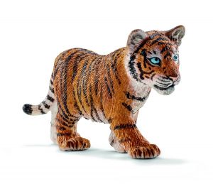 Bébé tigre du Bengale