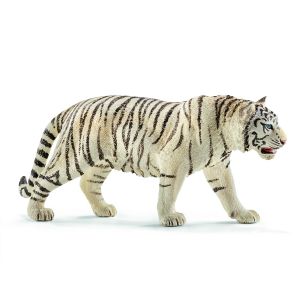 SHL14731 - Tigre blanc mâle