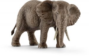SHL14761 - Éléphant d'Afrique femelle