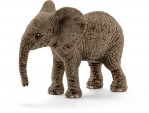 SHL14763 - Éléphanteau d'Afrique