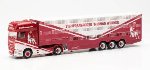 DAF XF SSC 4x2 avec remorque bétaillière 3 essieux THOMAS WERNER