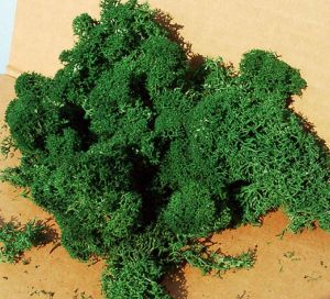 HEK3220 - Lichen vert foncé 75 g