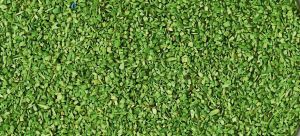 HEK3301 - Couvre-sol vert clair 40g