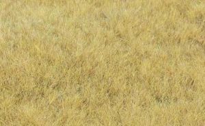 HEK33543 - Fibre d'herbe champ de foin 5-6 mm – 75g