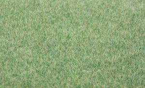 Flocage d'herbe vert foncé 75 g. 5-6 mm