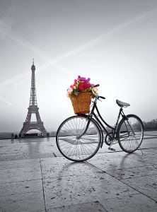 Puzzle 500 Pièces Promenade Romantique à Paris