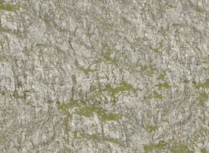 NOC60311 - Feuille de rochers froissés XL 61 x 34.5 cm – Seiser Alm