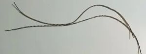 GF-ACC-05 - 2 flexibles blindés de 1.2mm - long.150mm