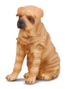 COLL88193 - Chien Sharpei