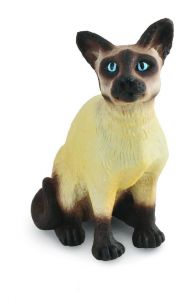 COLL88331 - Chat Siamois Assis