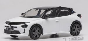 IXOCLC679N.22 - LANCIA Ypsilon 2025 Blanc et noir