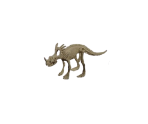 GEOCL3201A - Jurassix museum - Styracosaurus