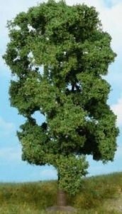 Tilleul 18 cm