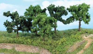 5 arbres fruitiers 8-10 cm