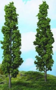 Lot de 2 Peupliers 27 cm