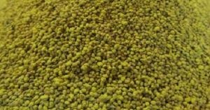 Sac de 150g de Grains de MAîS
