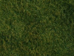 Foliage d'herbes sauvage, vert clair 20 x 23 cm