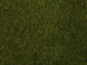 NOC07282 - Foliage d'herbes sauvages, vert foncé 20 x 23 cm