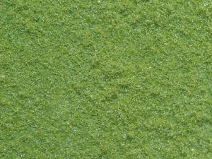 Flocage structuré moyen 3mm couleur vert du mois de mai 20g