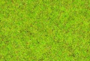 Herbe vert moyen - 2.5 mm - 20 g