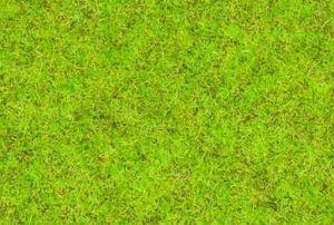 NOC08300 - Herbe vert moyen - 2.5 mm - 20 g