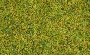 Herbe de pré d'été - 20 g - 2.5 mm