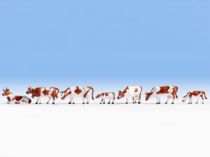 Vaches Montbéliardes