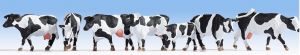 NOC15725 - Vaches Holstein