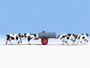 NOC16658 - 4 vaches avec tonne à eau