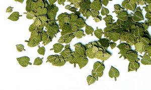 Feuilles de tilleul vertes miniatures de 4mm pour diorama